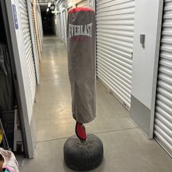 Everlast Training Bag