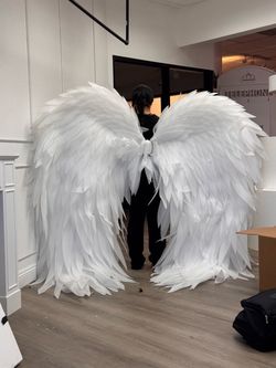 COSPLAY COSTUME WINGS