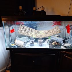 Bearded Dragon Tank 40 Gallon Three Heat Lights With Bulbs Hear Pad A Couple Logs Water And Food Dish Florecent Light Ubl Temp Gage 
