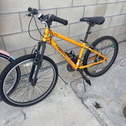 Adult Bike 