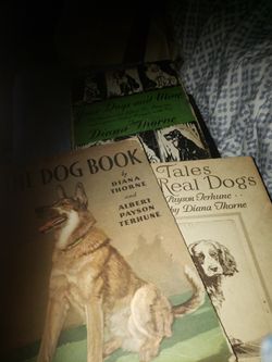 German Shepherd Books Dog Stories And Lots Of Horse Books