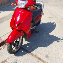 Honda Élite 2010