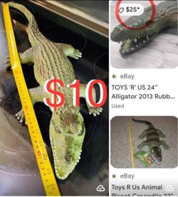 $10 like new large huge realistic alligator 🐊 25” Rubber and soft inside in great condition
