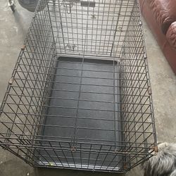 Dog Cage