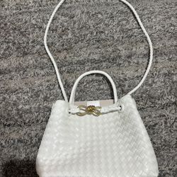 Bottega Purse 