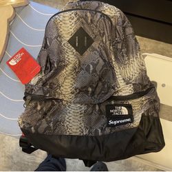 Supreme X The North Face Snakeskin Light Weight Day Pack 