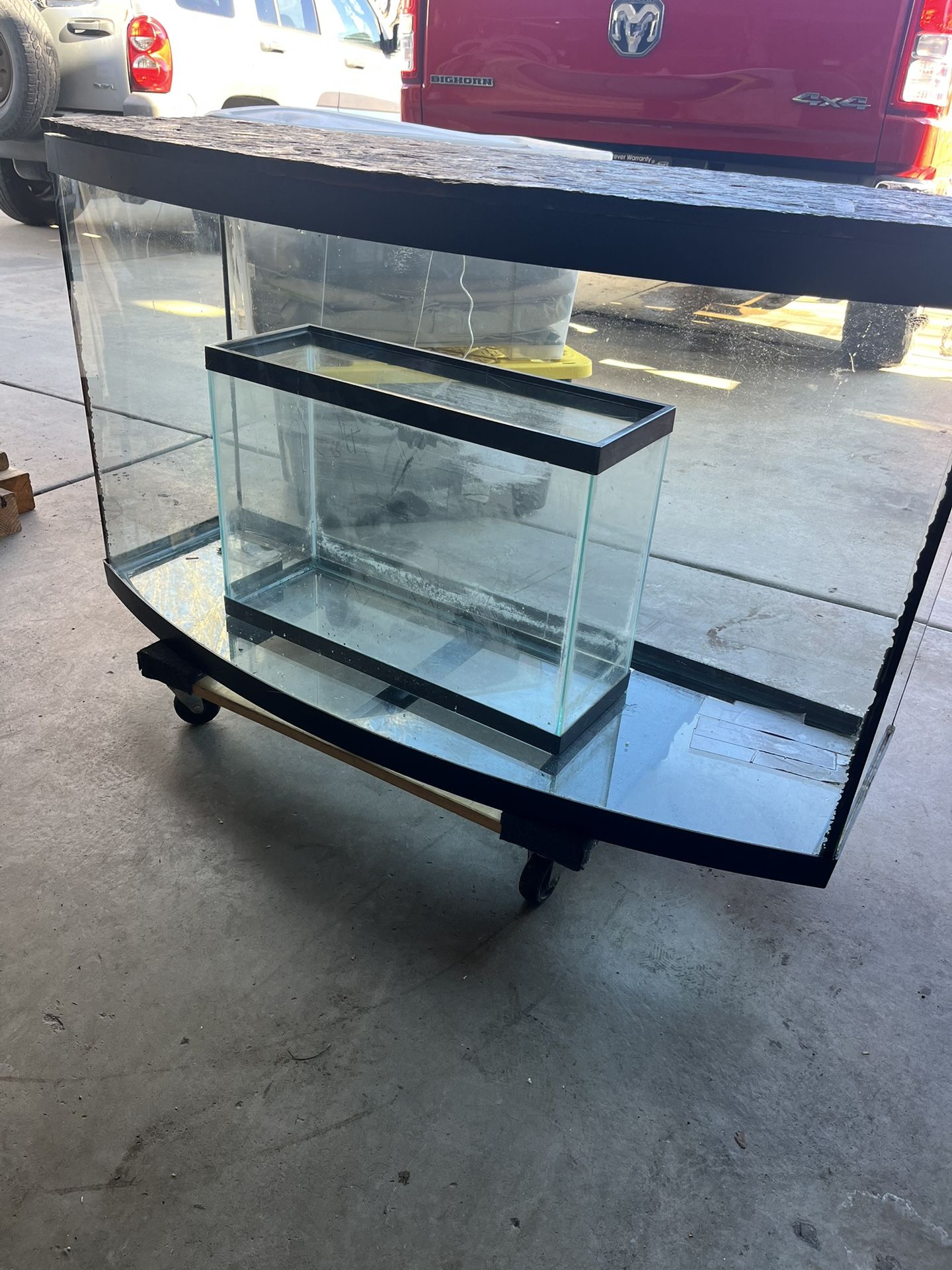 Reptile Cage** Big One Sold