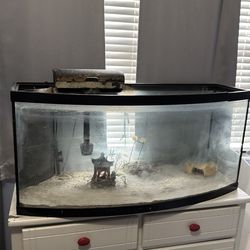 75 gallon tank