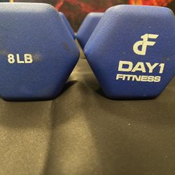 Two 8 Pound Dumbbells 