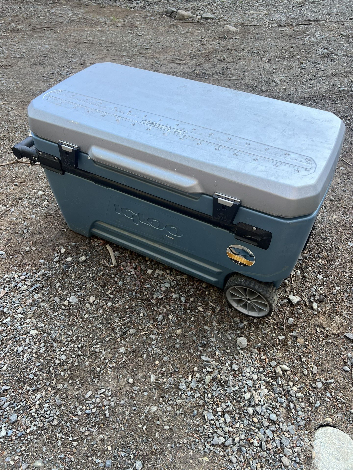 Igloo 110qt (??) Glide Cooler