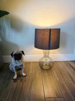 Glass Base Table Lamp with Gray Shade