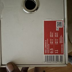 LeBron, James shoes