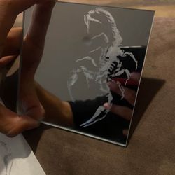3x3 Scorpion Engraved Mirror