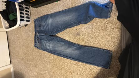 True religion pants