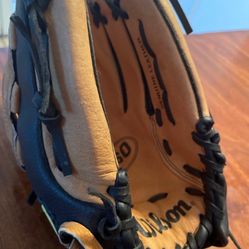 Left Handed Baseball Mitt