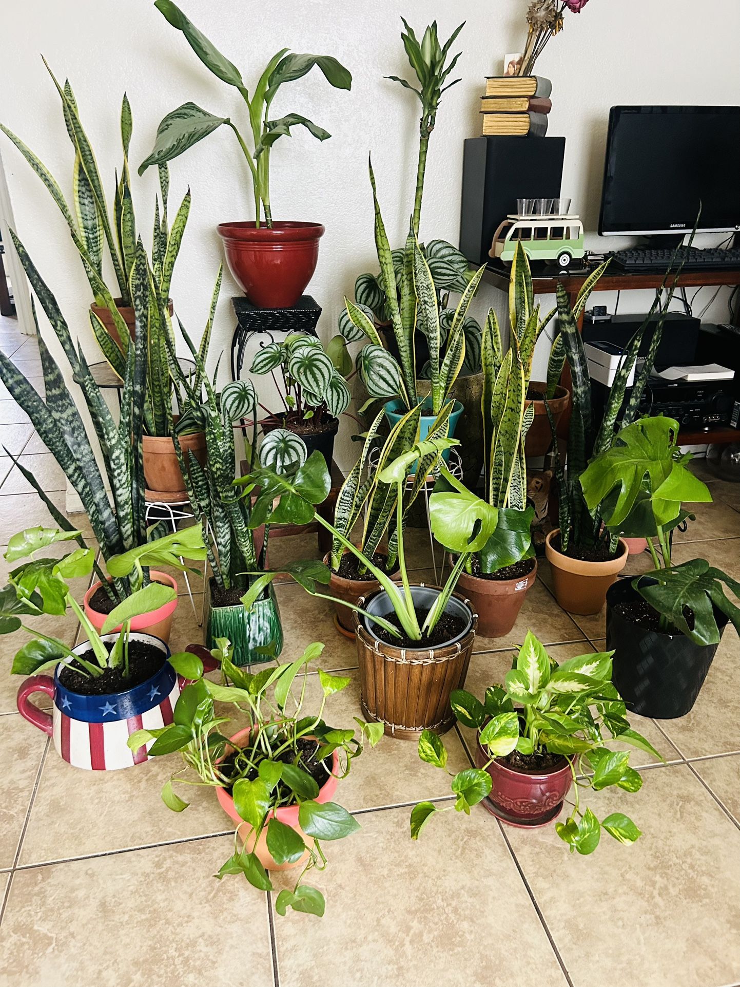 Plans For Sale 20 Each