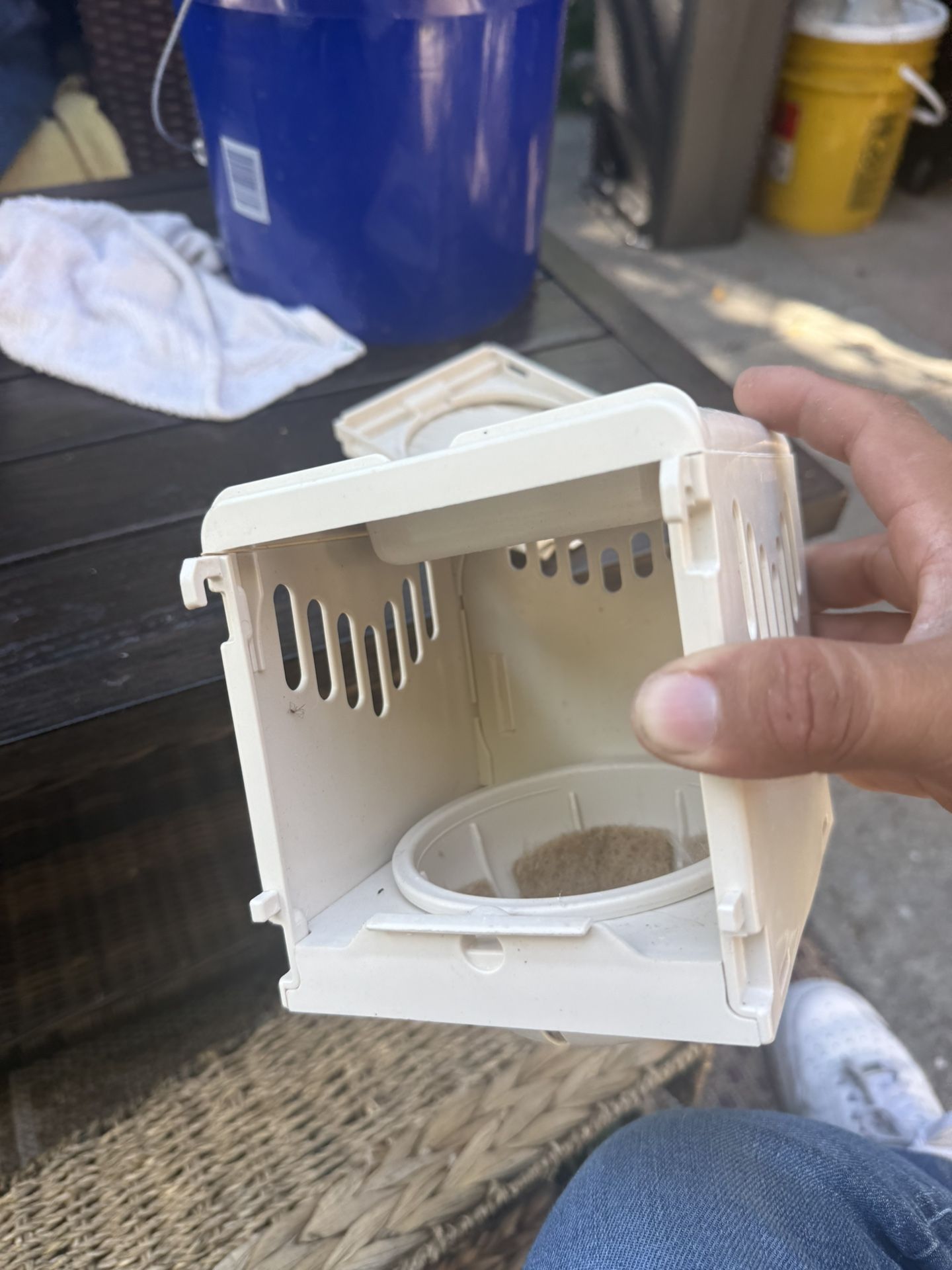 Bird Nest