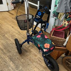 I Walk And Scooter