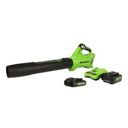 Greenworks 24V Blower with 4Ah and 2Ah Batteries + Charger