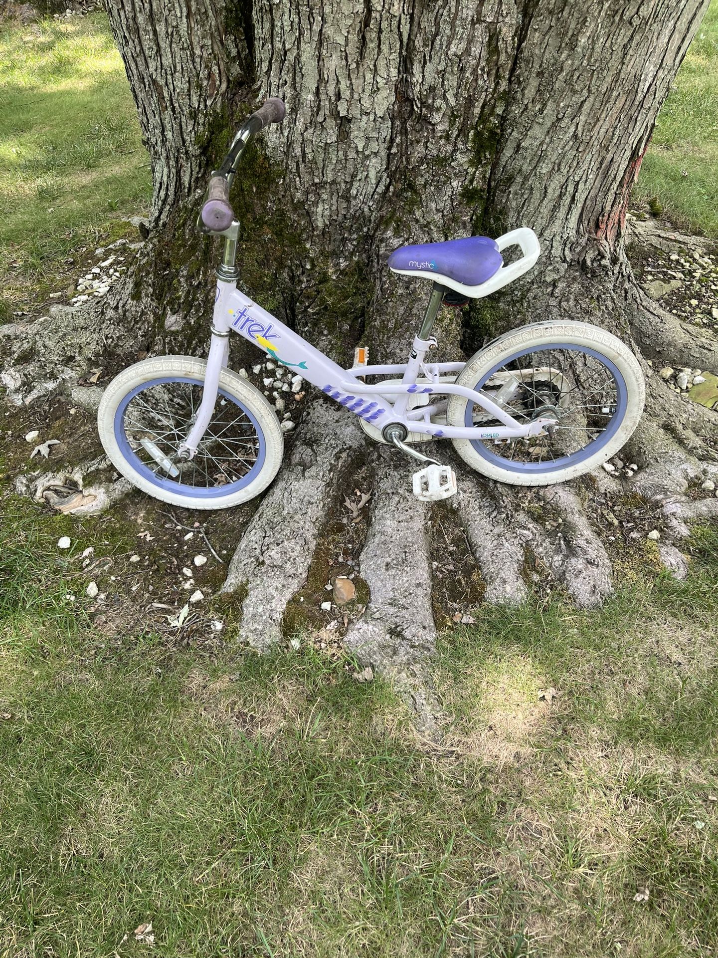 16” Trek Bike 