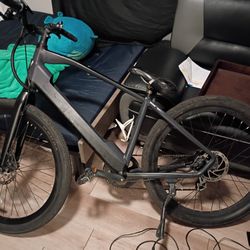 Ride 1up Ebike