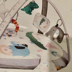 Baby Play Gym