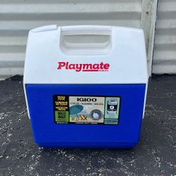 Igloo Mini Cooler