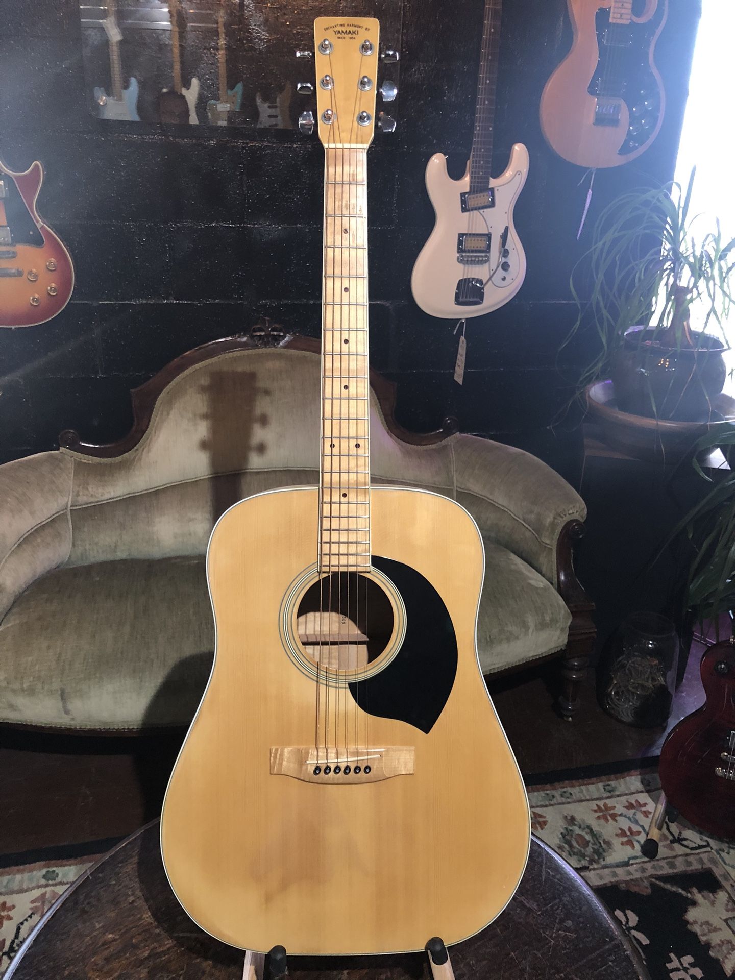Yamaki W300 Acoustic Guitar