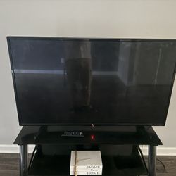 55 Inch 
