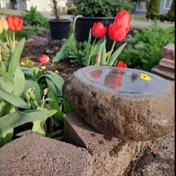 Bird Baths-Organic Natural River Rock