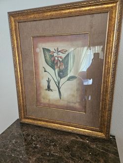Large picture