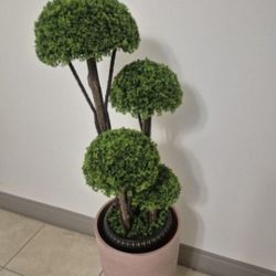 *** NEW LOW PRICE *** Faux Cedar Topiary in a  21" Terracotta Resin Planter @ Lasting Creations