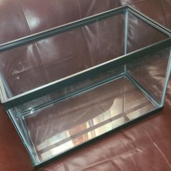 10 Gallon Tank 