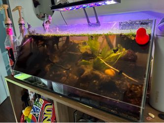 Aquariums