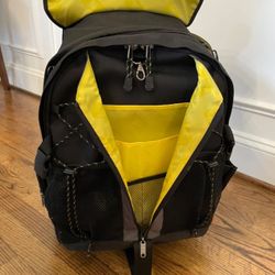 Ape Case ACPRO4000 Backpack with Wheels, Rain Cover, Padded, Laptop Compartment