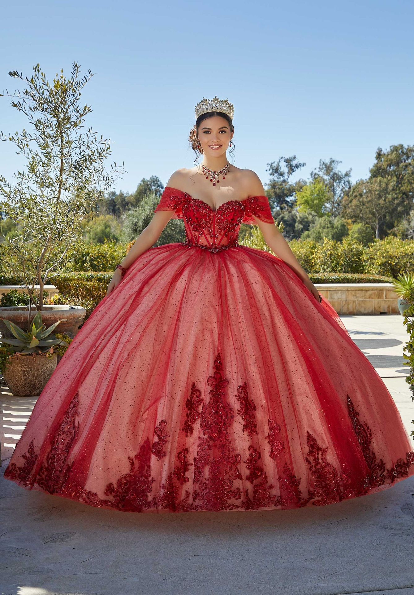 Quinceañera Dress 