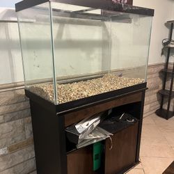 Fish Tank With Stand