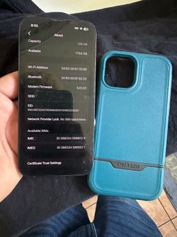 iPhone 13
