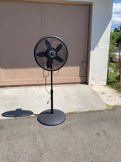 Fan