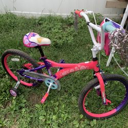 20” Bike 