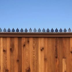 Security fence spikes 