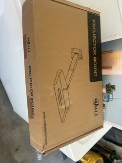 Wali projector mount