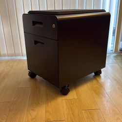 Metal 2-Drawer Filing Cabinet