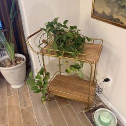 Gold And Walnut Bar Cart 