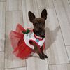 Lupita