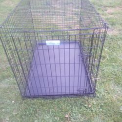 The I Crate Large Dod Kennel For Dogs 70 To 90lbs