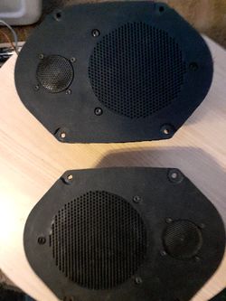 Mustang Mid Range and Tweeter 