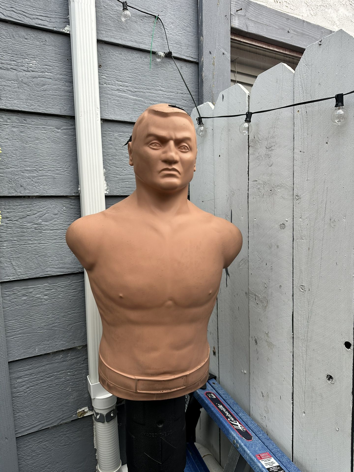 BOB Punching Dummy