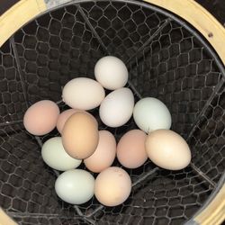 Fresh Unwashed Eggs