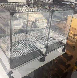 🥨Rabbit Cage, Metal Small Animal Cages for Adult Rats/Rabbit/Ferret/Chinchilla/Cats/Guinea Pig/Large Hamster Cage Single-Story,28.5”Lx21.5”Hx14.25”W